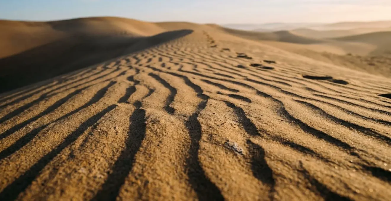 Golden sand dunes of Baní casting long shadows in early morning light