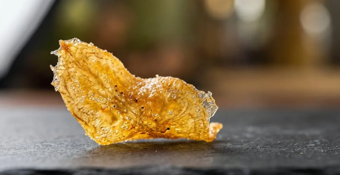 Extreme close-up of transformed plantain showcasing modernist culinary techniques with intricate textures and refined presentation